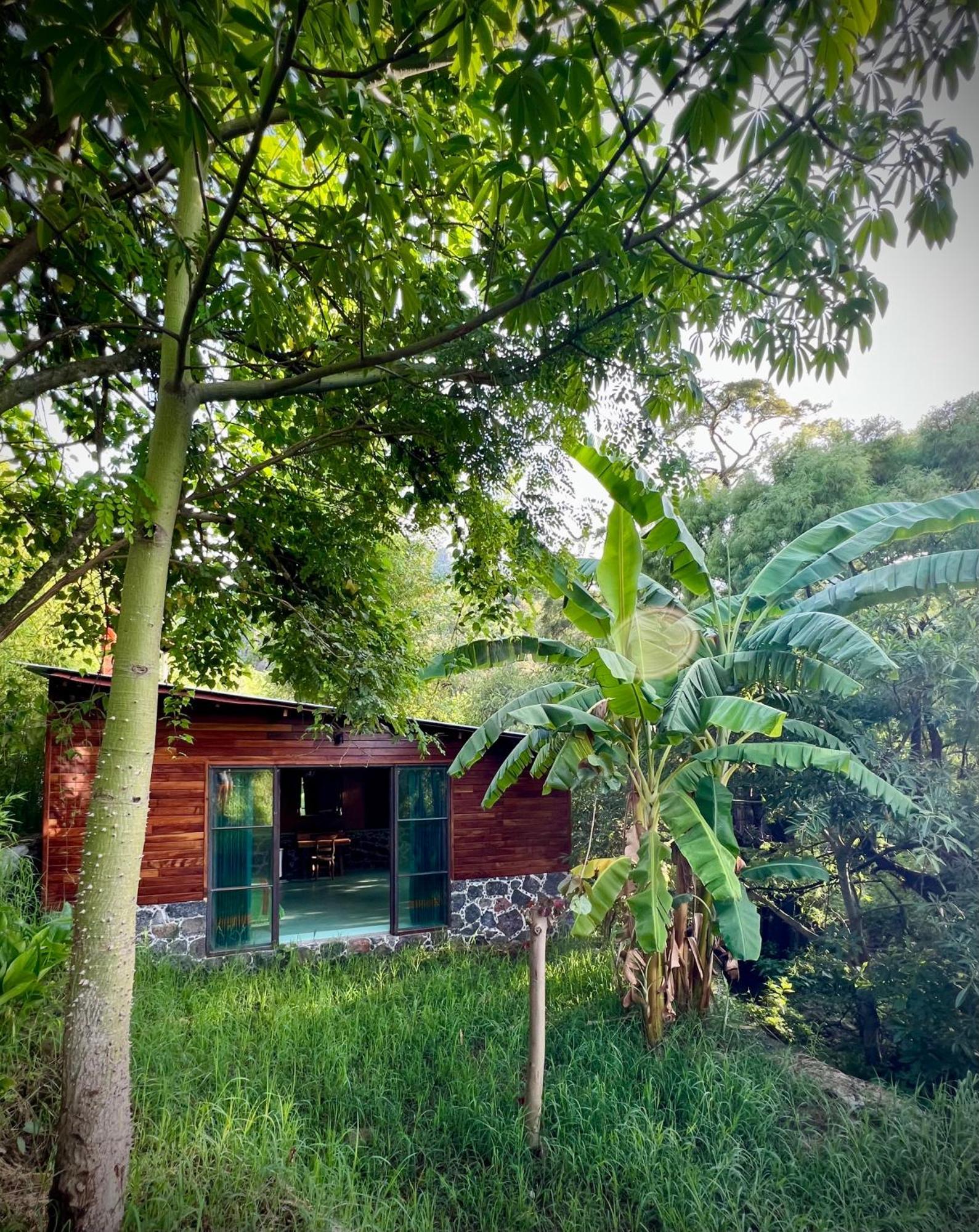 Santuario Ave Fenix-Cabanas Tepoztlán Exterior photo
