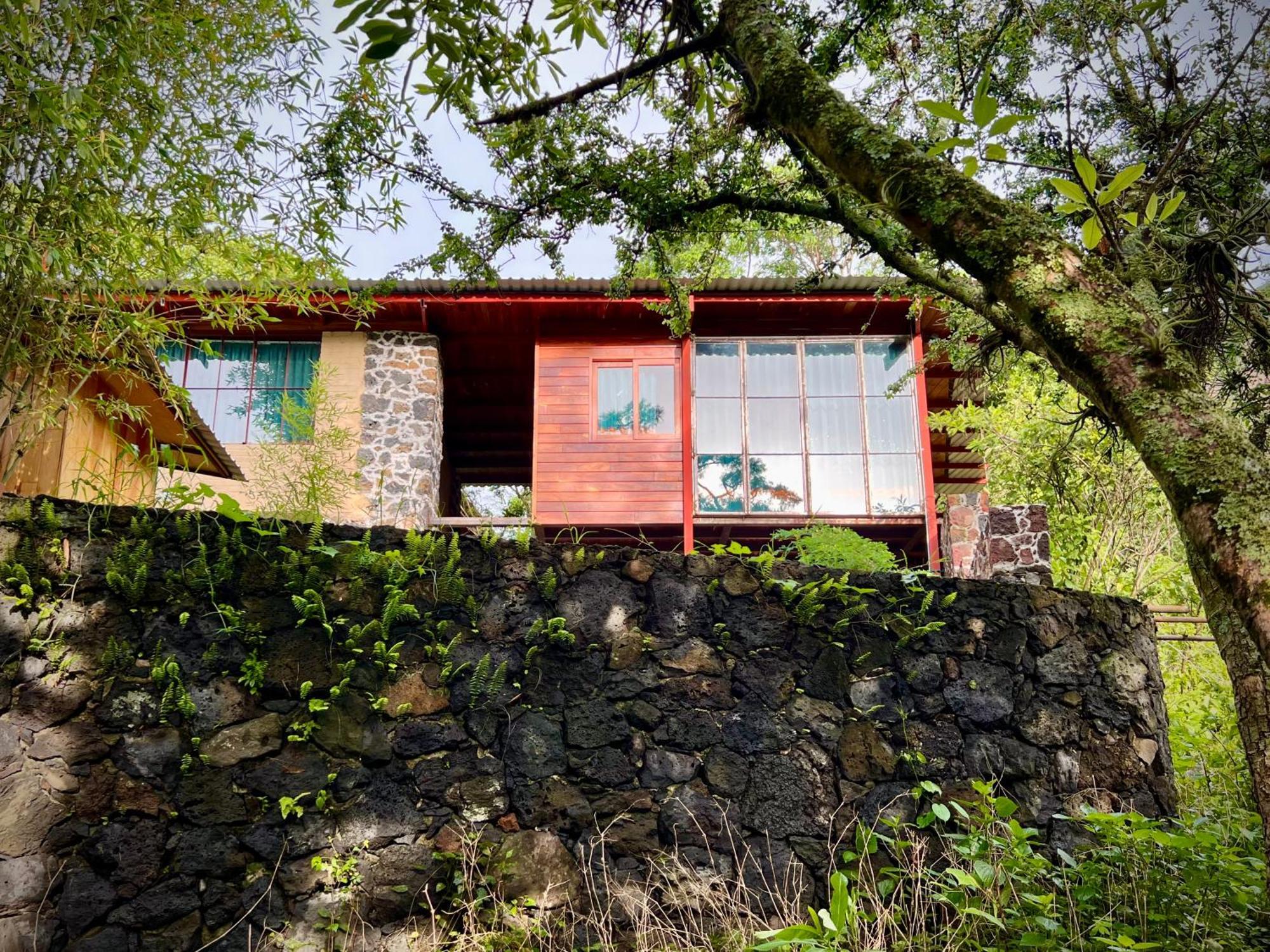 Santuario Ave Fenix-Cabanas Tepoztlán Room photo